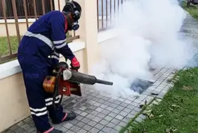 Mosquito Fogging services in Ahmedabad, bangalore, mumbai, hyderabad