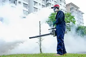 Fumigation Service In Ahmedabad