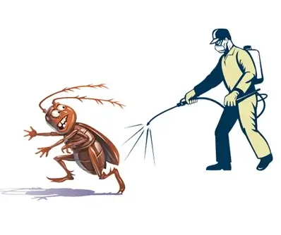 General disinfection, Pest Control Services, Ahmedabad