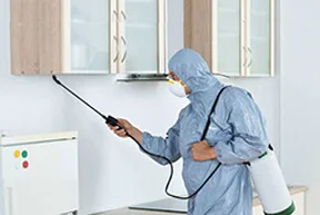 Hospital Pest Services In Ahmedabad