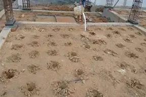 Pre-Construction Pest Control Services In Junagadh