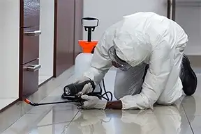 Pest Control Residential In Ahmedabad