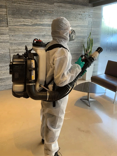 Top 10 Pest Control Services in Ahmedabad