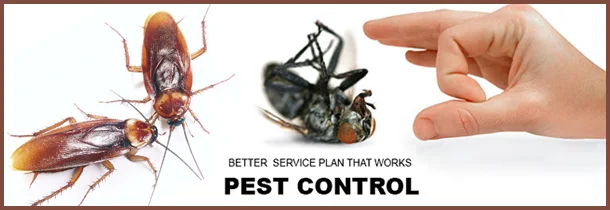 Pest Control Services in vadodara, gandhidham, jamnagar, bhavnagar, vapi, valsad