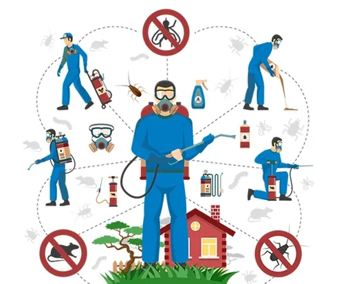 Top Pest Control Services in Ahmedabad, Rajkot, Bharuch