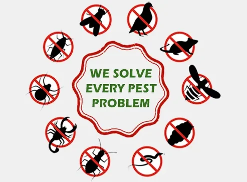 Pest Control in Ahmedabad, Surat, Bharuch, Bhuj, jamnagar